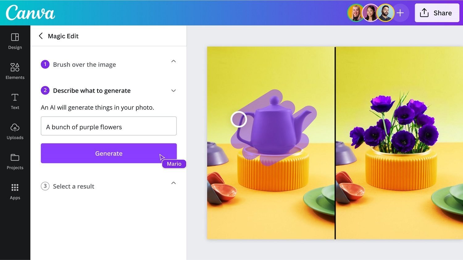 Canva Pro Premium Assets and Features